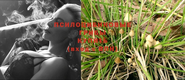 таблы Нея