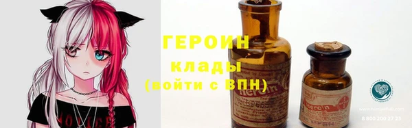 сатива Новозыбков