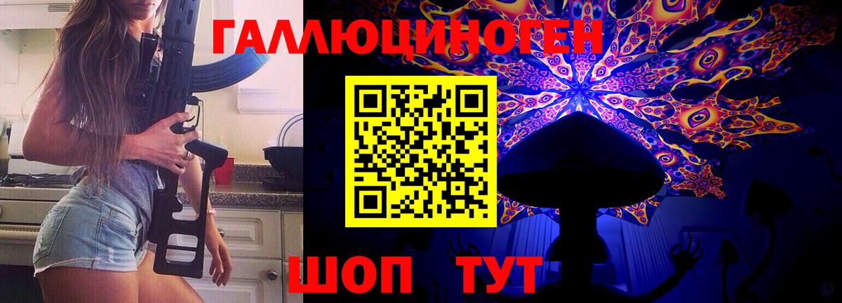 Галлюциногенные грибы Psilocybine cubensis Печора