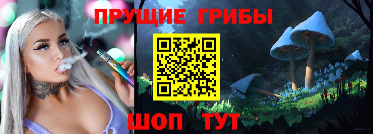 Галлюциногенные грибы Psilocybe  Вход с VPN  Печора 